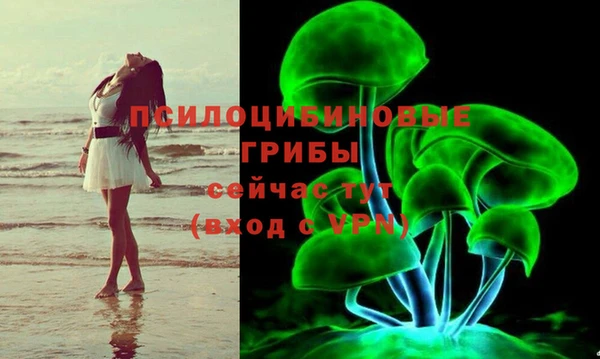 гидропоника Алексин